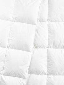 Edredón de plumon Komfort, cálido, Funda: 100% algodón, sarga de Ma, Blanco, Cama 135/140 cm (200 x 200)