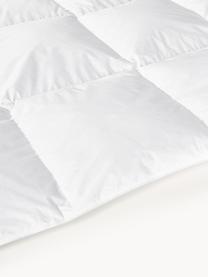 Edredón de plumon Komfort, cálido, Funda: 100% algodón, sarga de Ma, Blanco, Cama 135/140 cm (200 x 200)