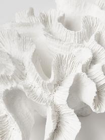 Designová dekorace Coral, Polyresin, Bílá, Š 25 cm, V 10 cm