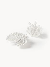 Design Deko-Objekt Coral, Polyresin, Weiß, B 25 x H 10 cm