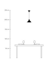 Kleine hanglamp Dial, Lampenkap: gecoat metaal, Baldakijn: gecoat metaal, Zwart, Ø 25 x H 14 cm
