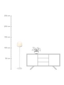 Kleine Stehlampe Magia aus Glas, Lampenschirm: Glas, Weiss, Ø 25 x H 131 cm