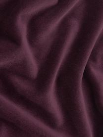 Funda de cojín de terciopelo Dana, 100% terciopelo de algodón, Color berenjena, An 40 x L 40 cm