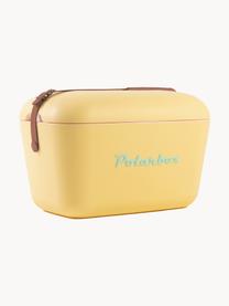 Box refrigerante POL-Classic, varie misure, Giallo chiaro, Larg. 45 x Alt. 30 cm