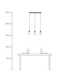 Lampada a sospensione Dina, Baldacchino: metallo verniciato a polv, Nero, Larg. 60 x Prof. 6 cm