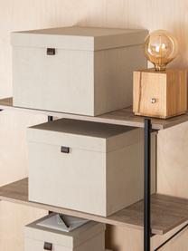 Opbergdozen Tristan, set van 2, Handvatten: leer, Lichtbeige, Set met verschillende formaten