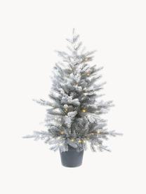 Decoratieve LED kerstboom Grandis H 90 cm, besneeuwd, Kunststof (PVC), Groen, wit, Ø 63 x H 90 cm