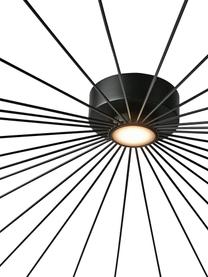 Grote dimbare LED plafondlamp Mesh, Lampenkap: gelakt metaal, Baldakijn: gelakt metaal, Diffuser: kunststof, Zwart, Ø 75 x H 5 cm