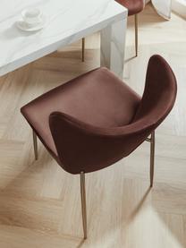 Chaise en velours rembourrée Tess, Velours brun, or, larg. 49 x long. 84 cm