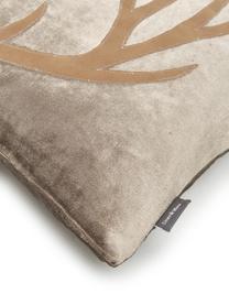 Fluwelen kussen Antler, met vulling, Weeftechniek: fluweel, Taupe, bruin, B 30 x L 50 cm