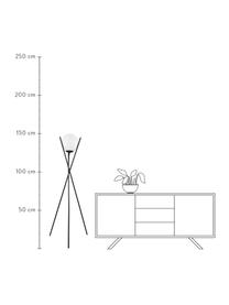 Tripod Stehlampe Salvezinas, Lampenschirm: Opalglas, Lampenfuß: Stahl, beschichtet, Weiß, Schwarz, Ø 28 x H 150 cm