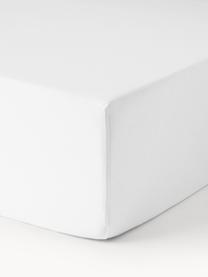 Boxspring-Spannbettlaken Lara, 95 % Baumwolle, 5 % Elasthan
Fadendichte 160 TC, Standard Qualität

Bettwäsche aus Baumwolle fühlt sich auf der Haut angenehm weich an, nimmt Feuchtigkeit gut auf und eignet sich für Allergiker., Weiss, B 200 x L 200 cm, H 35 cm