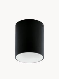 Foco LED Marty, Pantalla: metal con pintura en polv, Negro, blanco, Ø 10 x Al 12 cm