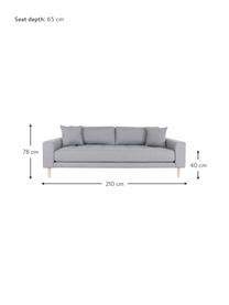 Divano a 3 posti in tessuto grigio chiaro Andrew, Rivestimento: poliestere 30.000 cicli d, Sottostruttura: legno di quercia, Piedini: legno di abete, Grigio chiaro, Larg. 210 x Alt. 93 cm