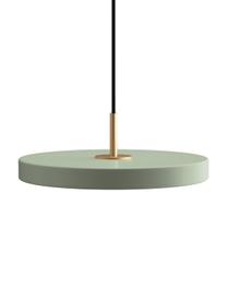 Design LED hanglamp Asteria, Lampenkap: gecoat aluminium, Decoratie: staal, Baldakijn: polypropyleen, Olijfgroen, Ø 31 x H 11 cm