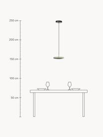 Dizajnové závesné LED svietidlo Asteria, v rôznych veľkostiach, Šalviovozelená, Ø 31 x V 14 cm