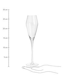 Flute champagne in vetro soffiato Ays 4 pz, Vetro, Trasparente, Ø 4 x Alt. 27 cm, 232 ml