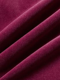Housse de coussin en velours Dana, 100 % coton

Le matériau est certifié STANDARD 100 OEKO-TEX®, 21.HCN.84376, Hohenstein, Prune, larg. 50 x long. 50 cm