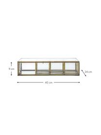 Handgemaakte juwelendoos Ola met 5 vakken, Frame: gecoat metaal, Messingkleurig, B 40 x H 9 cm