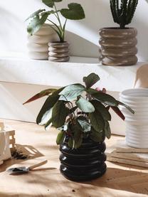 Plantenpot Rudi van keramiek, H 30 cm, Keramiek, Zwart, glanzend, Ø 32 x H 30 cm