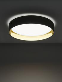 Stropná LED lampa Mallory, Zelená, Ø 41 x V 10 cm