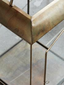 Laterne Mandurai, H 46 cm, Gestell: Metall, beschichtet, Braun, Transparent, B 25 x H 46 cm
