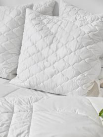 Vegane Bettdecke mit Kapokfaser und Baumwolle, leicht, Bezug: 100% Bio-Baumwolle, Leicht, B 200 x L 200 cm