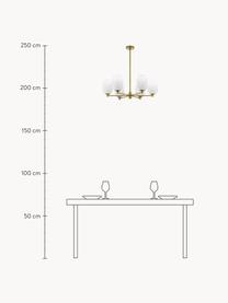 Lampadario Balor, Paralume: vetro, Dorato, Ø 65  x A 62 cm