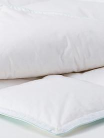 Daunen-Bettdecke Comfort, Vierjahreszeiten, Hülle: 100% Baumwolle, feine Mak, Vierjahreszeiten, B 200 x L 200 cm