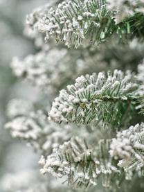 Árbol de Navidad con nieve artificial Pencil, Plástico (PVC), Verde, blanco, Ø 60 x Al 210 cm