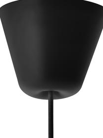Lampa wisząca ze skórzanym paskiem Strap, Czarny, Ø 27 x W 25 cm