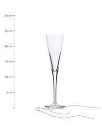 Křišťálové sklenice sekt Event, 6 ks, Křišťál, Transparentní, Ø 7 cm, V 24 cm, 160 ml