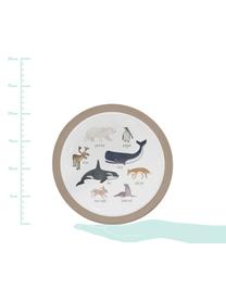 Serviesset Arctic Animals, 3-delig, Melamine, kunststof, Multicolour, Verschillende formaten