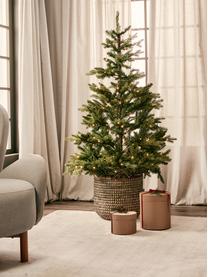 Decoratieve LED kerstboom Allison, Voet: metaal, Groen, Ø 97 x H 150 cm