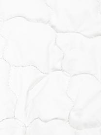 Veganský polštář s kapokovým vláknem a bavlnou, měkký, Bílá, Š 80 cm, D 80 cm