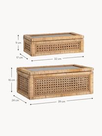 Schmuckboxen Talina, 2er-Set, Box: Rattan, Holz, Deckel: Glas, Braun, Set mit verschiedenen Grössen