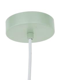 Scandi hanglamp Carlton, Lampenkap: gelakt staal, Lichtgroen, Ø 31 x H 40 cm