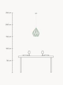 Lámpara de techo Carlton, estilo escandinavo, Pantalla: acero pintado, Anclaje: acero pintado, Cable: plástico, Verde menta, Ø 31 x Al 40 cm