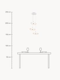 Lampada a sospensione a LED Vinyl, Paralume: metallo verniciato a polv, Baldacchino: metallo verniciato a polv, Bianco trasparente, Ø 60 cm