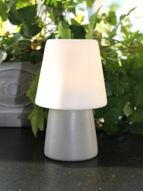 Lampe à poser LED à piles n° 1 Mini, Blanc, gris
