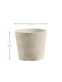 Plantenpottenset Low van cement, 3-delig, Cement, Beige, Set met verschillende formaten