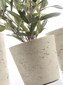 Plantenpottenset Low van cement, 3-delig, Cement, Beige, Set met verschillende formaten