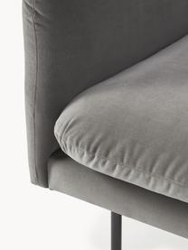 Sillón de terciopelo Moby, Tapizado: terciopelo (poliéster de , Estructura: madera de pino maciza, ma, Patas: metal con pintura en polv, Terciopelo gris pardo, An 90 x F 90 cm