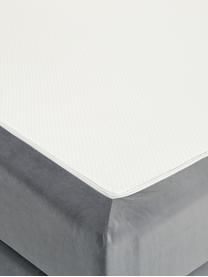 Premium Samt-Boxspringbett Lacey, Matratze: 7-Zonen-Taschenfederkern , Füße: Massives Buchenholz, lack, Dunkelgrau, 140 x 200 cm