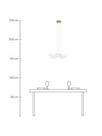 Lámpara de techo LED Velo, Pantalla: vidrio acrílico, Estructura: metal anodizado, Cable: plástico, Transparente, dorado, Ø 50 x Al 50 cm
