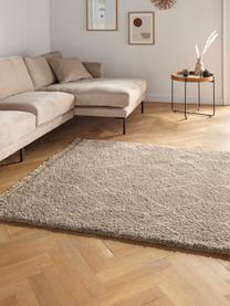 Alfombra pelo largo con flecos Mila, 100% polipropileno, Beige, gris, An 80 x L 150 cm (Tamaño XS)