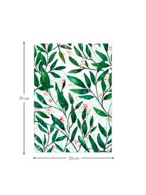 Rolka papieru prezentowego Green Leaves, 3 szt., Papier, Zielony, czerwony, biały, S 50 x W 70 cm