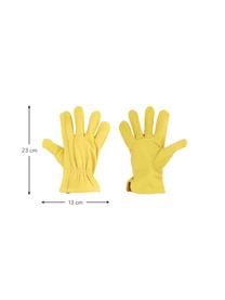 Zahradnické rukavice z hovězí kůže Selma, Hovězí kůže, Žlutá, Š 13 cm, D 23 cm