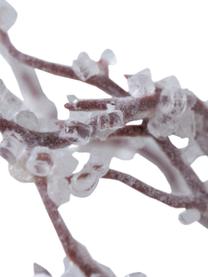 Wieniec świąteczny Biala, Drewno brzozowe, Biały, ciemne drewno naturalne, Ø 50 x W 10 cm
