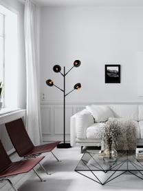 Grote vloerlamp Turno met diffusorschijven, Zwart, H 176 cm